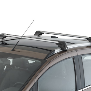 Strešni nosilci srebrno/črni